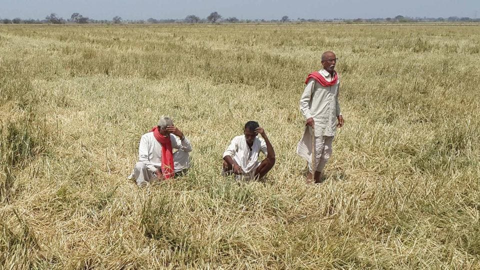 indian farmers