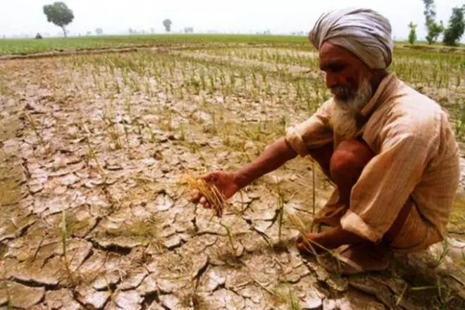 Farmers-debt-ridden-in-rajasthan