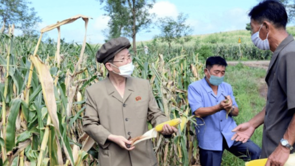 North Korea calls Plenary meeting on "Urgent" Food crisis - Asiana Times