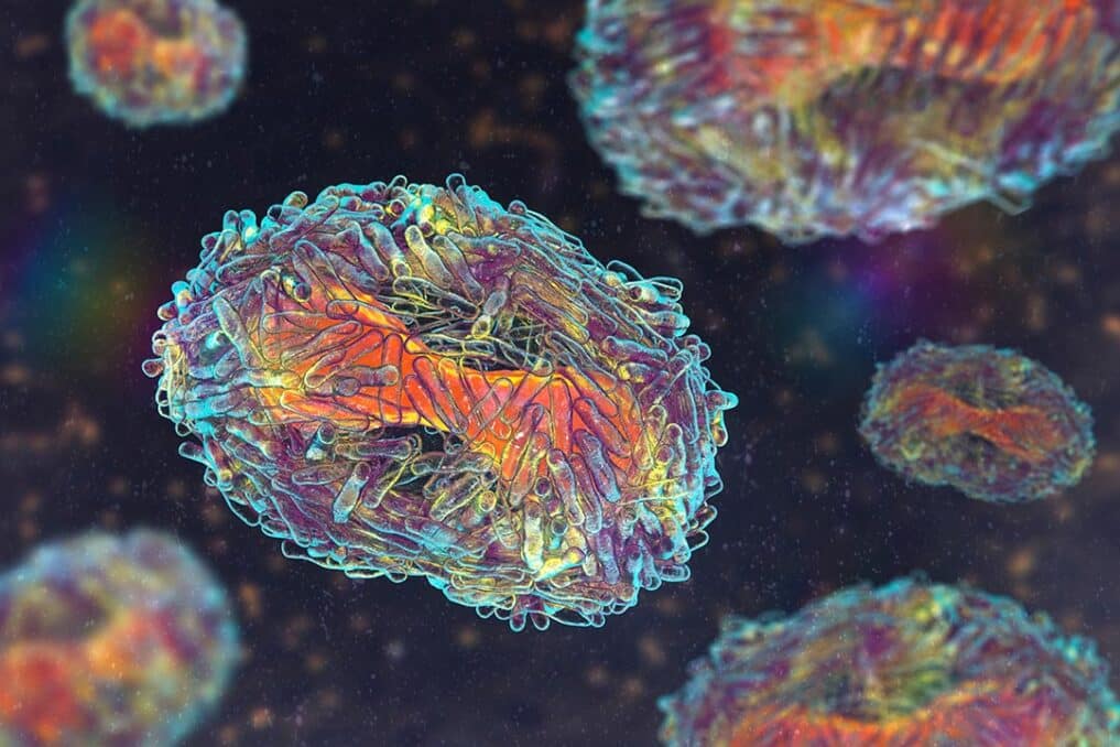 3D illustration of Mpox virus