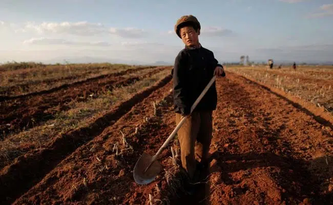 North Korea drought intensify food shortage