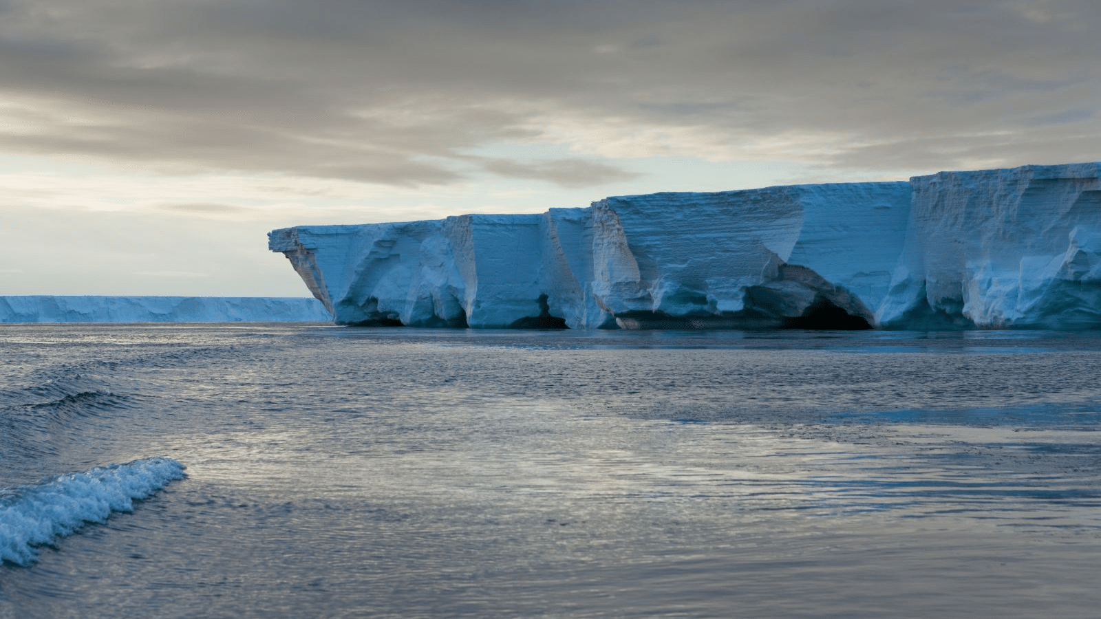 Singing ice recorded in Antarctica and Arctic region