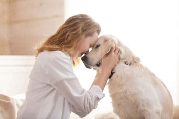 BOOST OF MENTAL HEALTH WITH A CANINE PET CONNECTION - Asiana Times