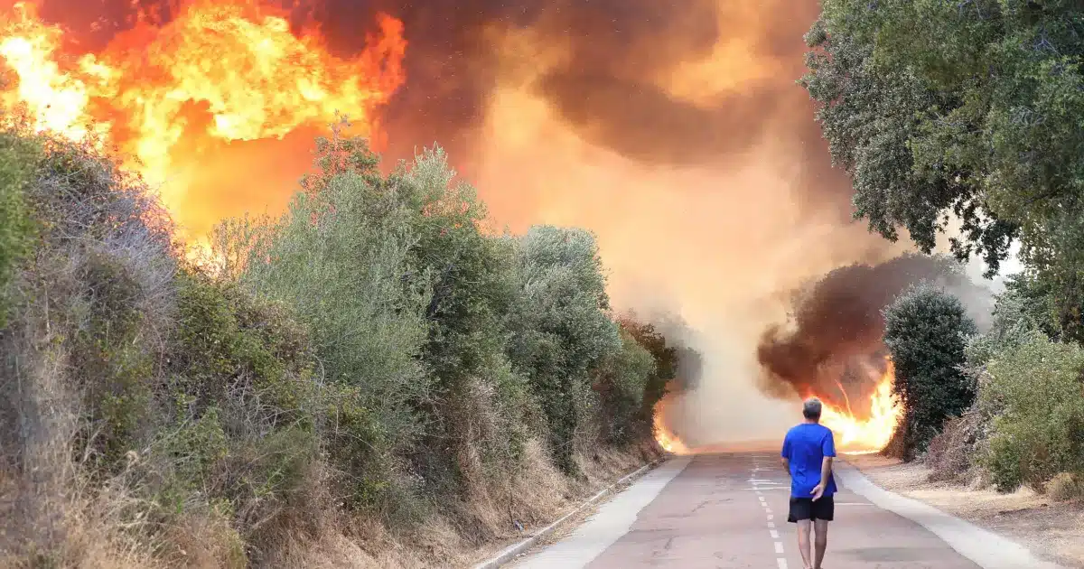 Heatwave in Europe: Deadly Flames rage in the Mediterranean Europe Heatwave in Europe: Deadly Flames rage in the Mediterranean - Asiana Times