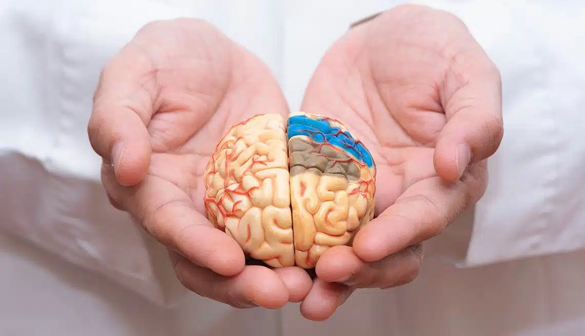 Brain's Internal Compass to explain Alzheimer's Disorientation - Asiana Times