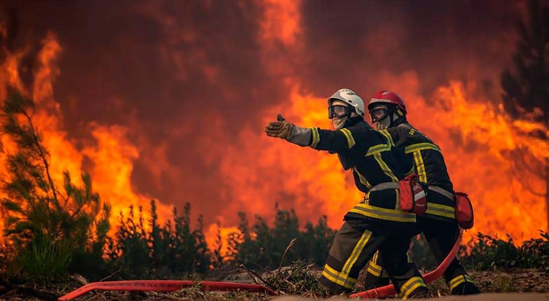 Devastating forest fires have increased around the world in recent years. Image: AP Photo/picture alliance