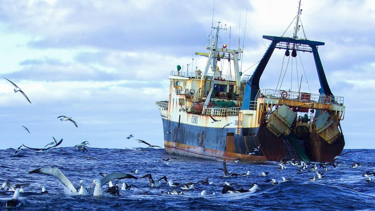 High Seas Treaty aims to protect life at International waters