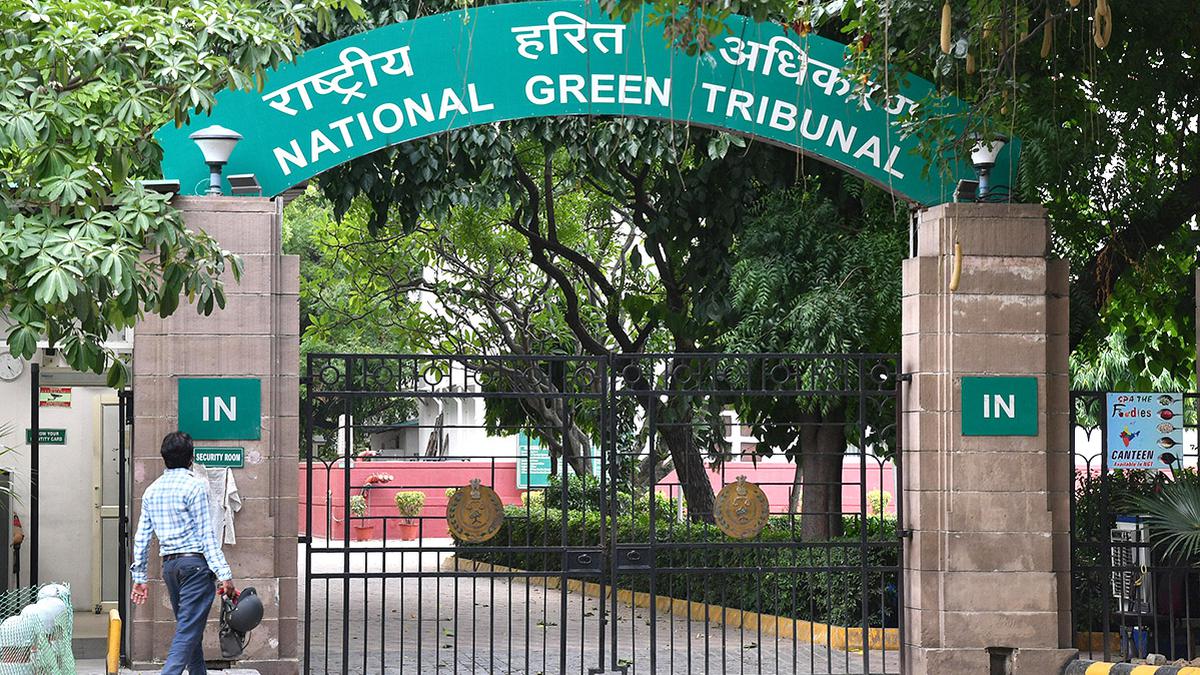 NGT to investigate Delhi's air pollution - Asiana Times