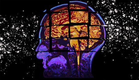 Brain’s Internal Compass to explain Alzheimer’s Disorientation Brain