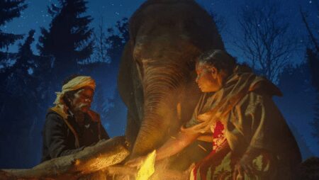 Oscars 23- The Best Documentary Shot- The Elephant Whisperers