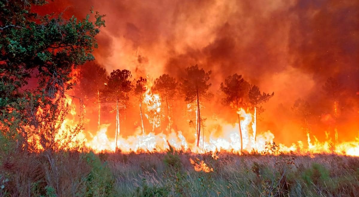 Wild Fires Sweep Through Europe
