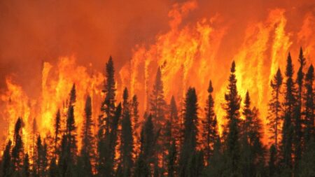 "The Clock is Ticking!" Expanding Boreal Wildfires - Asiana Times