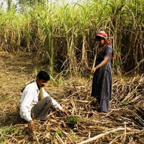 <strong><strong>The distress of Maharashtra's Migrant workforce</strong></strong> - Asiana Times