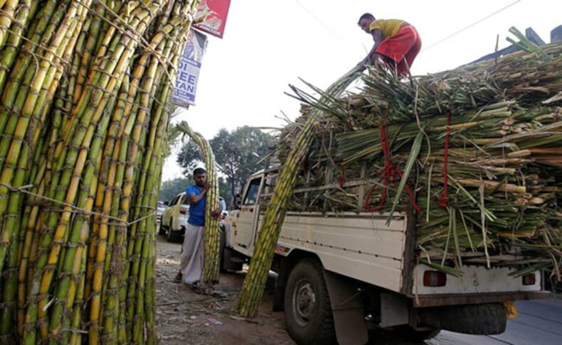 India to increase sugar export - Asiana Times