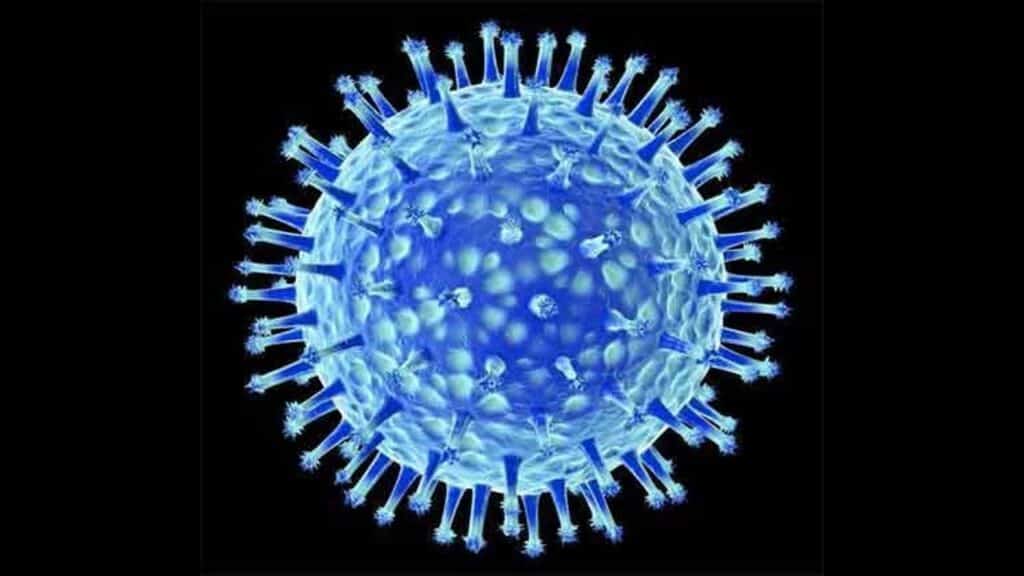 H3N2 Virus