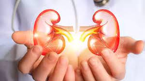 Lifestyle Factors That Can Lead To Kidney Diseases - Asiana Times