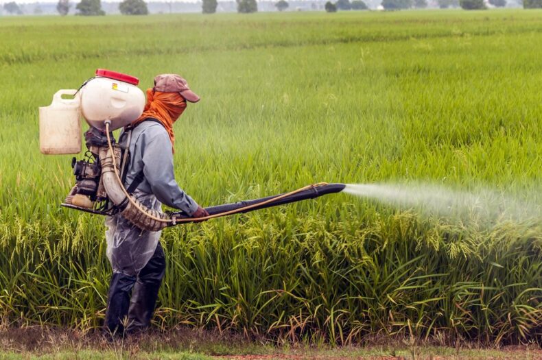 A farmer spraying Fertilizers