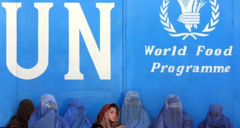Taliban prohibits Afghan female staff: UN - Asiana Times
