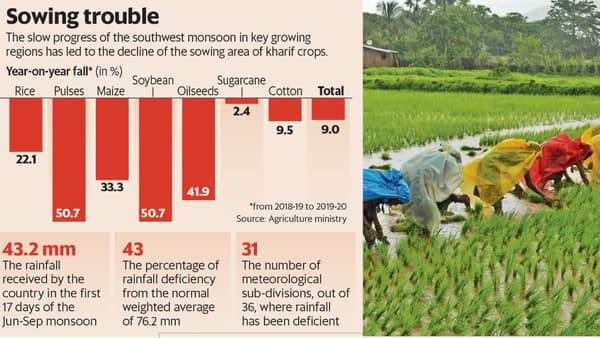 yoy rainfall in india