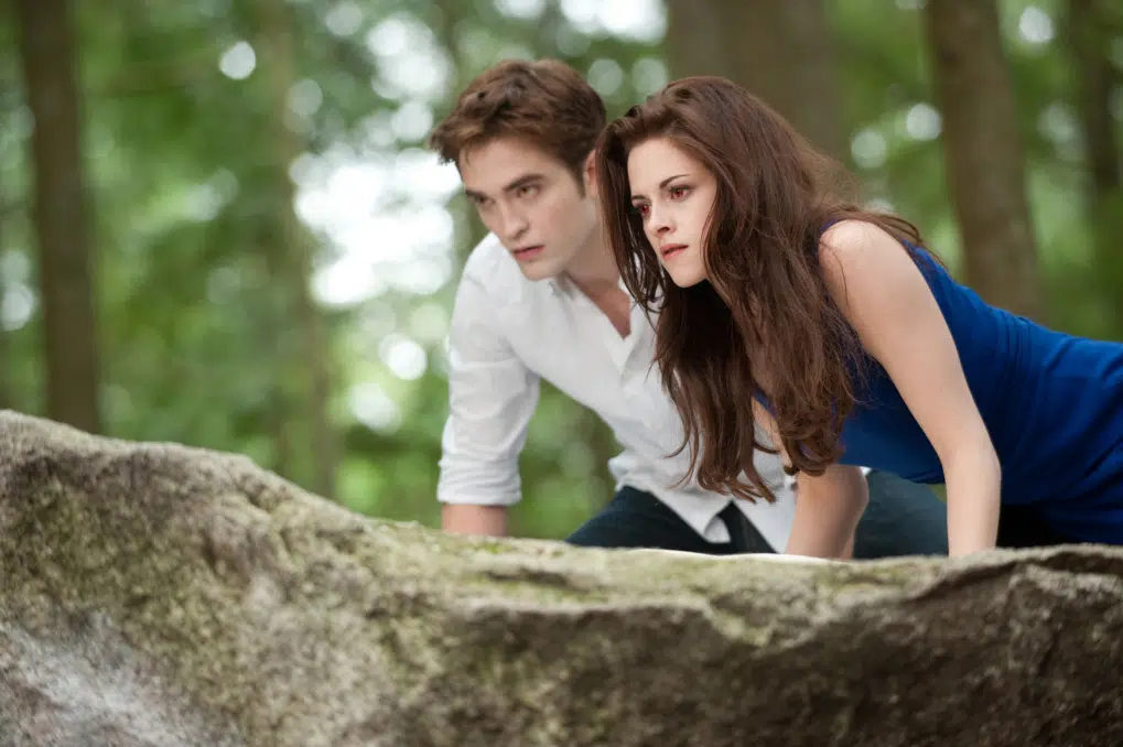 Twilight television series: after 10 years - Asiana Times