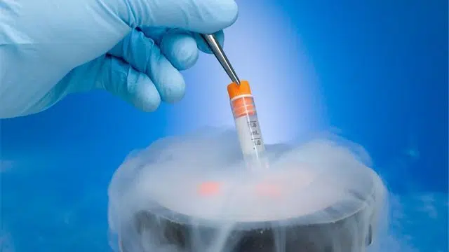 3D cell assemblies’ cryopreservation: New method improves storage - Asiana Times