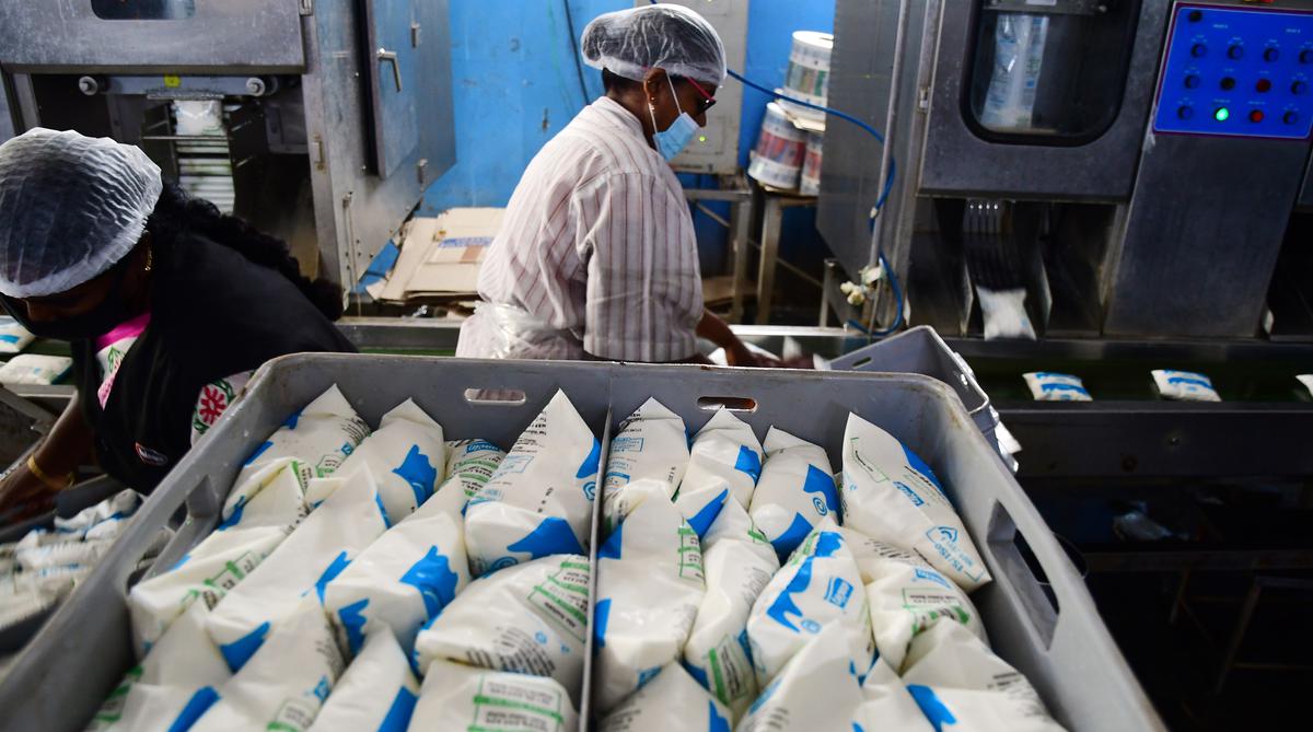 (Image of a factory worker stocking Aavin milk packets, sourced from The Hindu)