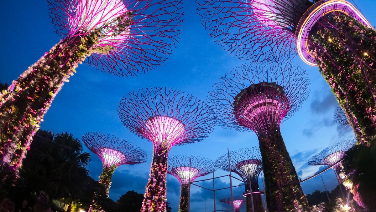 The Ultimate Guide to Singapore Pass: Exploring the Lion City with River Safari Tickets and Gardens by the Bay Tickets - Asiana Times