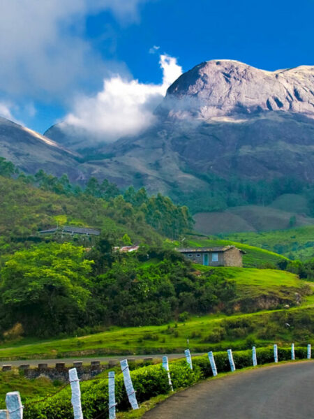 1200px-Munnar_hillstation_kerala