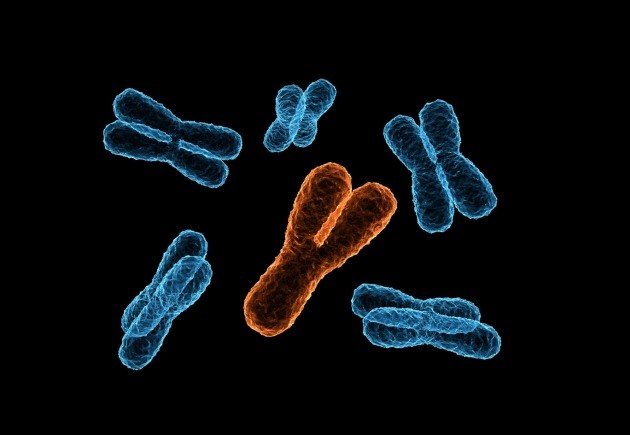 Y-chromosome Loss in Men Correlates With Adverse Cancer Results - Asiana Times