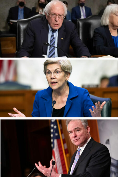 The Images of Bernie Sanders, Elizabeth Warren, and Tim Kaine among the 75 Senaators who raise the Issue of Democracy