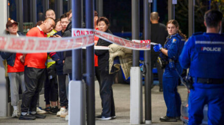 Man wielding axe attacks diners at a restaurant in New Zealand, 4 wounded. - Asiana Times
