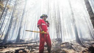 Fire fighter in the Tantallon area fighting the Nova Scotia wildfire