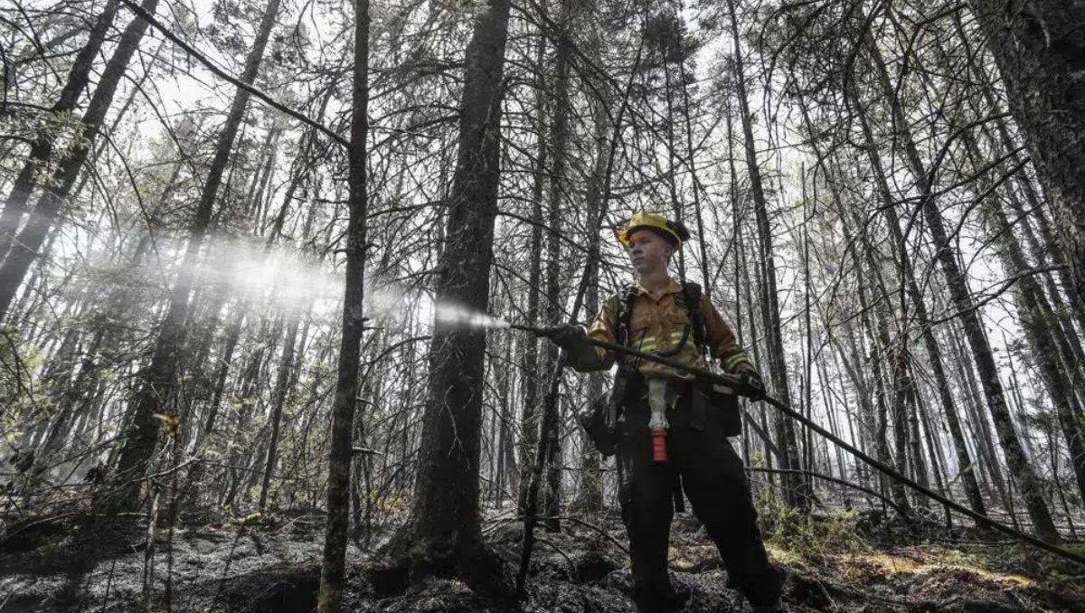 Firefighter Kevin works on wildfire in Shelby County