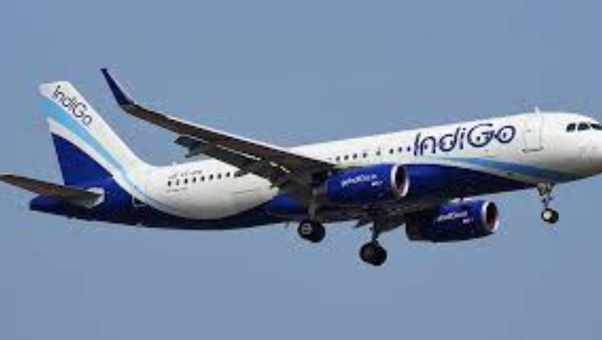 IndiGo's Stock Price Reaches highest following $50Bn Purchase - Asiana Times