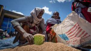 After Widespread thievery, food aid suspended in Ethiopia