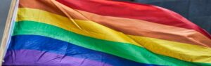 Kerala High Court Dismisses Lesbian Woman’s Reunion Plea - Asiana Times