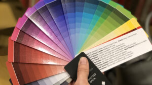 The Color Analysis Craze: TikTok to Fashion Brands - Asiana Times