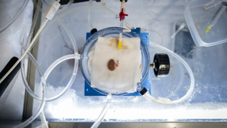 Cryogenically Frozen Organs successfully Transplanted into Rats - Asiana Times