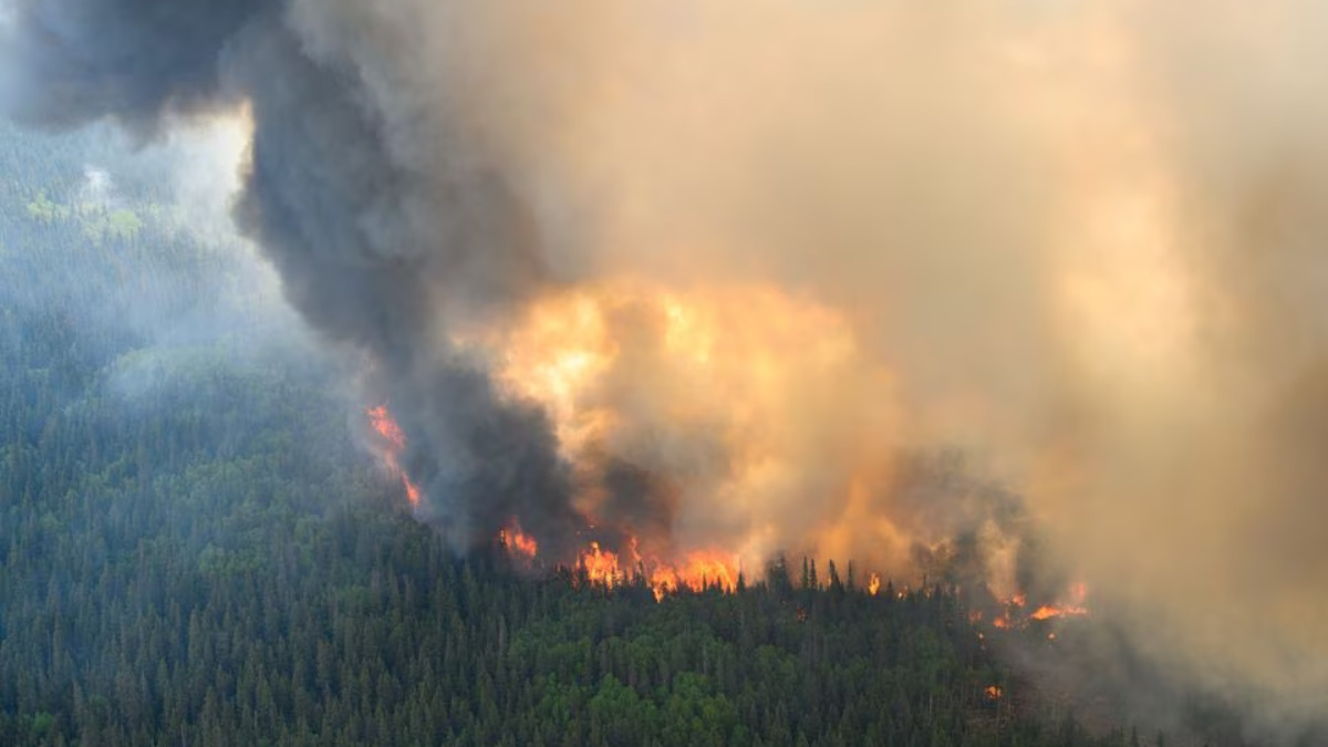 World hits record land, sea temperatures as climate change fuels 2024 extremes