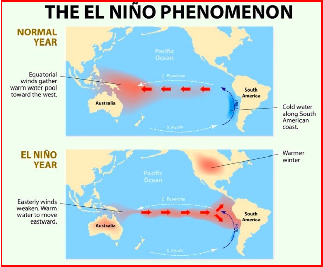 The El Nino phenomenon explained. 