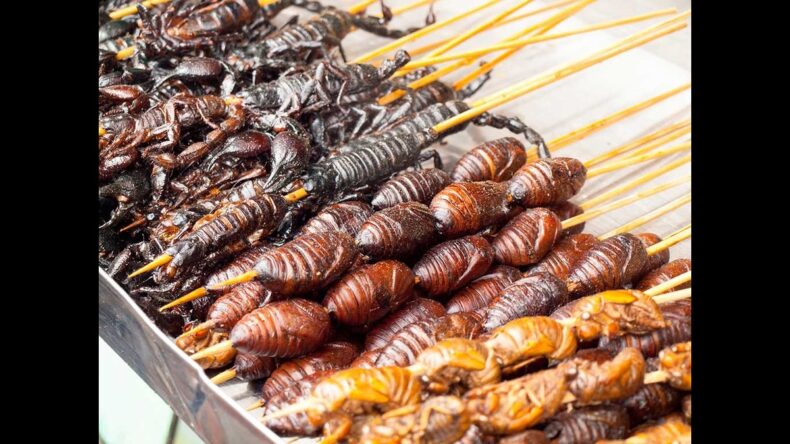 Pesky Pests Turn Palatable: Insects Invade Italian Gastronomy