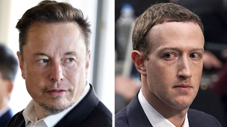 Cage fight of Elon Musk and Mark Zuckerberg