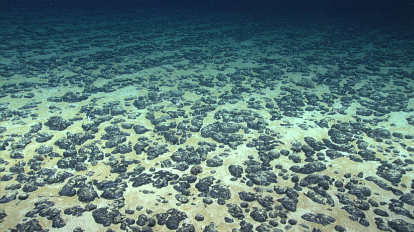 Sediments from ocean-beds helps in revealing intriguing past mysteries. 
Image Source: Scripps Institution of Oceanography