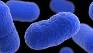 Listeria outbreak in Washington kills 3 adults  - Asiana Times