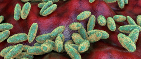 Yersinia pestis: Unraveling Pandemic Insights