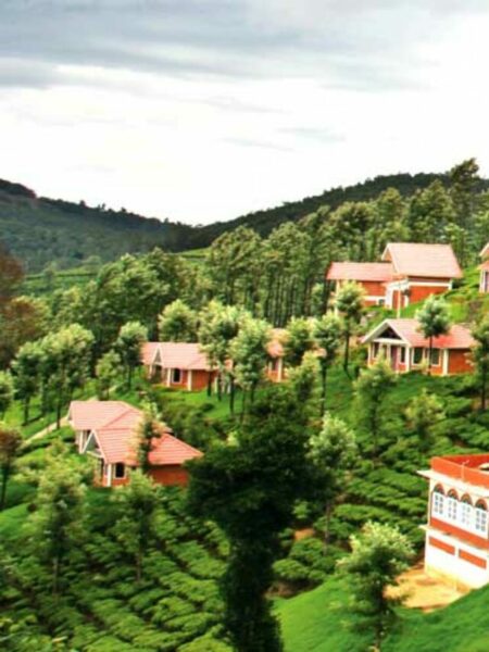 Ooty