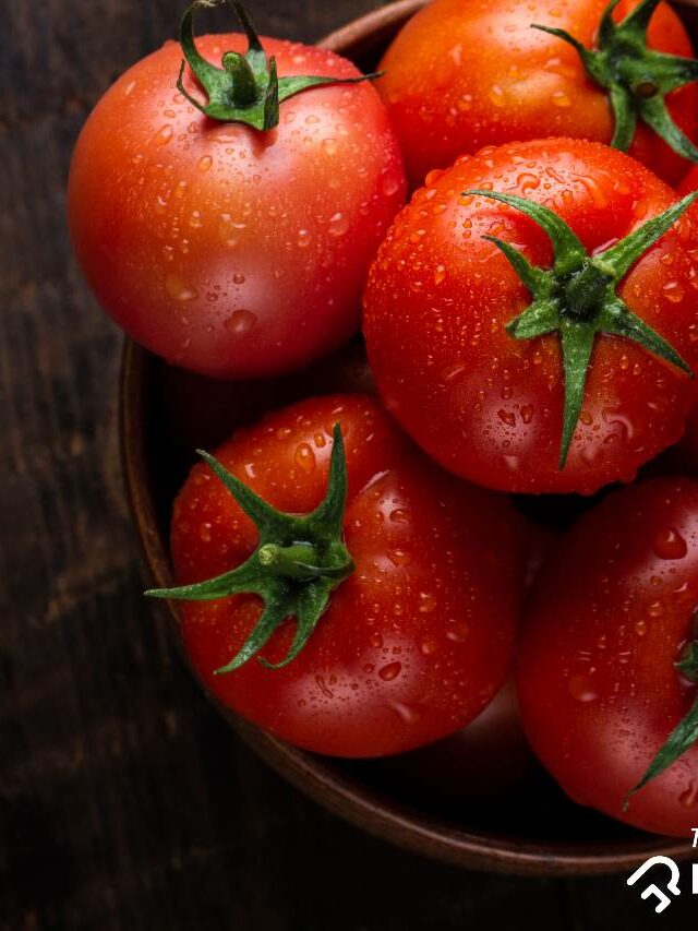 Tomato Price hike: Try these 5 alternatives