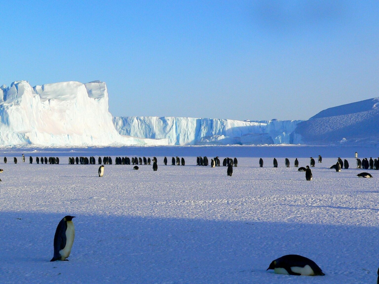 Representational image of Antarctica