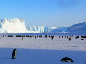 Representational image of Antarctica