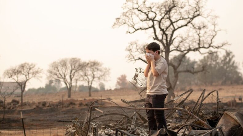 Protecting Young Lungs: Wildfire Smoke's Impact on Children